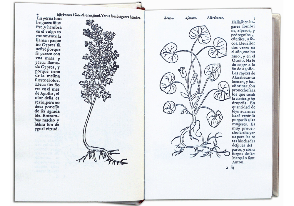 Hª yerbas plantas-Fuchs-Jarava-de Laet- Incunabula & Ancient Books-facsimile book-Vicent García Editores-0 Opened